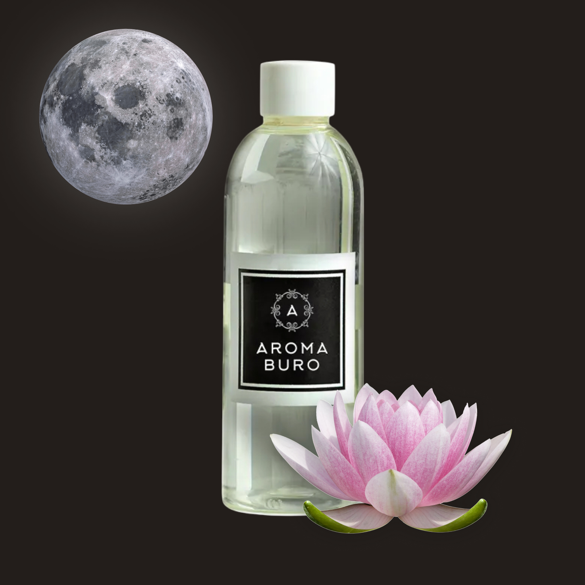 Лунный свет